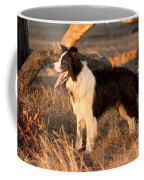 Border Collie At Sunset Coffee Mug by Michelle Wrighton