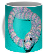 Crochet Snake in Blue Weekender Tote Bag by LeeAnn McLaneGoetz  McLaneGoetzStudioLLCcom - Pixels