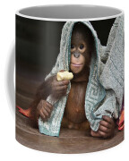Orangutan 2yr Old Infant Holding Banana Coffee Mug Orangutan 2yr Old Infant Holding Banana Coffee Mug