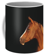 Soulful Gaze Of A Horse Coffee Mug