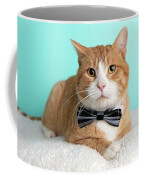 https://render.fineartamerica.com/images/rendered/small/frontright/mug/images/artworkimages/medium/3/4-orange-tabby-cat-portrait-in-studio-and-wearing-a-bow-tie-ashley-swanson.jpg?transparent=0&targetx=150&targety=0&imagewidth=499&imageheight=333&modelwidth=800&modelheight=333&backgroundcolor=6C4E2D&orientation=0&producttype=coffeemug-11&imageid=13801271