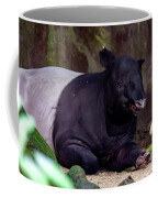 Cipan tapir tenuk