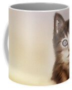 Beautiful Kitten - Coffee Mug Product by Matthias Zegveld