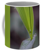 Water Drop On Grass Coffee Mug Water Drop On Grass Coffee Mug