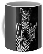 Zebra Mother and Foal Portrait - High Contrast Photograph by Eric