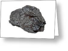 Photograph, Lignite Coal