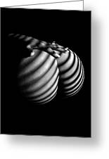 6747 Zebra Woman Nude Stripe Series Photograph by Chris Maher 