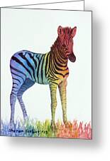 Baby Rainbow Zebra by Sharon Farber