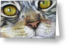 Stunning Cat Painting Greeting Card by Michelle Wrighton