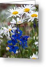 Colorado Wildflowers 1 Photograph by Jim McCain - Fine Art America