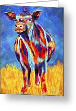 Colorful Angus Cow Greeting Card