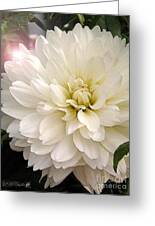 https://render.fineartamerica.com/images/rendered/small/greeting-card/images-medium-5/dahlia-named-carl-chilson-j-mccombie.jpg?transparent=0&targetx=-12&targety=0&imagewidth=525&imageheight=700&modelwidth=500&modelheight=700&backgroundcolor=D7CAB6&orientation=1&producttype=greetingcard
