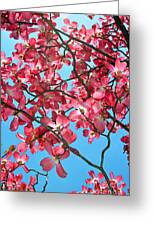 Dogwood Tree Flowers and Blue Sky Digital Art by Eva Kaufman | Fine Art ...