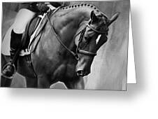 Elegance - Dressage Horse Greeting Card by Michelle Wrighton