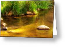 Golden Reflections Greeting Card