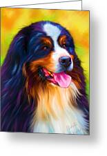 Colorful Bernese Mountain Dog Painting Greeting Card by Michelle Wrighton