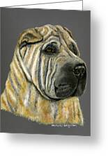 Kruger Shar Pei Portrait Greeting Card by Michelle Wrighton