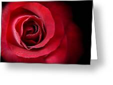 Love's Eternal Red Rose Photograph by Jennie Marie Schell - Fine Art ...