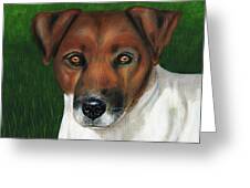 Otis Jack Russell Terrier Greeting Card by Michelle Wrighton