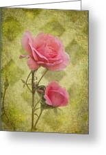 Pink Roses Photograph by Angie Vogel - Fine Art America