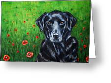 Poppy - Labrador Dog In Poppy Flower Field Greeting Card by Michelle Wrighton