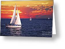 Sailboats At Sunset Fleece Blanket for Sale by Elena Elisseeva