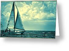 Sailing on Tampa Bay Photograph by Pamela Blizzard - Fine Art America