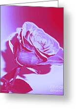 Shades of Pink Rose Photograph by Minding My Visions by Adri and Ray ...