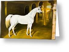 Белая лошадь теракт. Орловский рысак Сметанка. Питер Смит художник арабские лошади. Арабский жеребец Сметанка. Орловский рысак Сметанка картина художник.