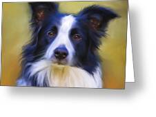 Beautiful Border Collie Portrait Greeting Card by Michelle Wrighton