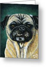 This Is My Happy Face - Pug Dog Painting Greeting Card by Michelle Wrighton
