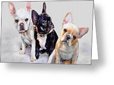 Three Frenchie Puppies Digital Art by Jane Schnetlage - Fine Art America