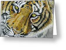 Tiger Painting Greeting Card