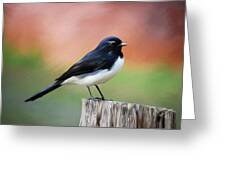 Willy Wagtail Austalian Bird Painting Greeting Card