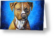 American Staffordshire Terrier Dog Painting Greeting Card by Michelle Wrighton