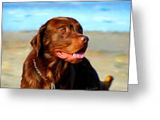 Bosco At The Beach Greeting Card by Michelle Wrighton