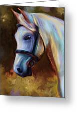 Horse Of Colour Greeting Card by Michelle Wrighton