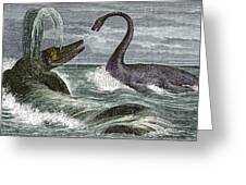 Download Ichthyosaurus And Plesiosaurus Reptiles Photograph by Sheila Terry