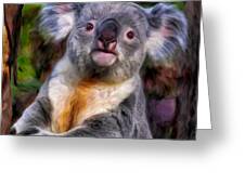 Koala Painting by Dominic Piperata - Pixels