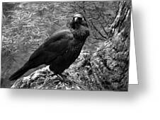Nevermore - Black And White Greeting Card