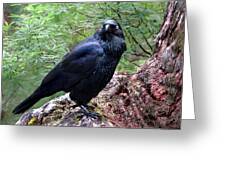 Nevermore Greeting Card