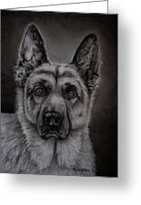 Noble - German Shepherd Dog Greeting Card by Michelle Wrighton