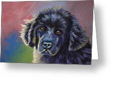 Rainbows And Sunshine - Newfoundland Puppy Greeting Card by Michelle Wrighton