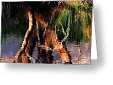 Reflections Greeting Card by Michelle Wrighton
