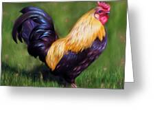 Stewart The Bantam Rooster Greeting Card