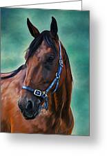 Tommy - Horse Painting Greeting Card by Michelle Wrighton