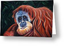 Wise One - Orangutan Wildlife Painting Greeting Card