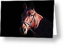 Bay On Black - Horse Art By Michelle Wrighton Greeting Card by Michelle Wrighton