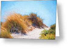 Beach Grass And Sand Dunes Greeting Card