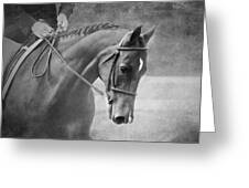 Black And White Horse Photography - Softly Greeting Card by Michelle Wrighton